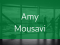 Amy A. Mousavi